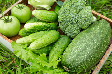 Fresh vegetables in the box on the green grass