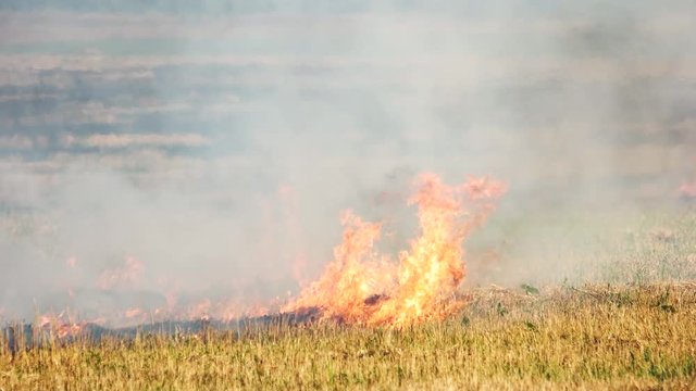 Indiscretion bilder – Bläddra bland 237 stockfoton, vektorer och videor ...