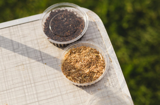 a bank of earthworms on a fishing table
