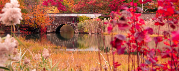 Bridge in Fall
