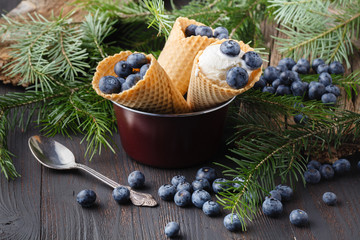 Obraz na płótnie Canvas Melted ice cream in a bucket of blueberry.