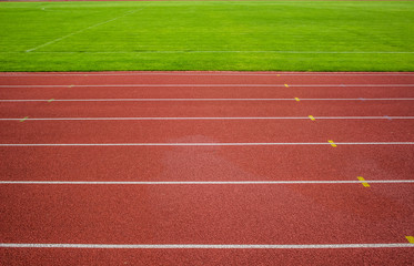 red running track background texture with white marking lanes and empty space for copy or text