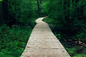 Wooden path, way, track from planks in forest park, perspective, toned image in warm tones