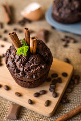 tasty chocolate muffin