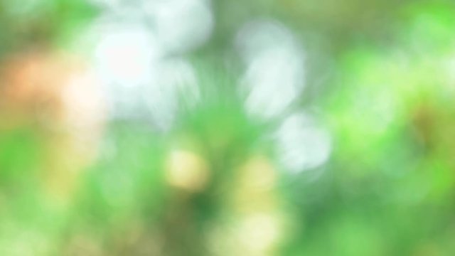 Green blurred background. Abstract green motion.