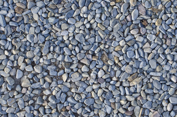 The round pebble path on the ground of the walk way showing the texture of the rocks. 