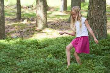  Child blond adorable girl picking fresh berries on blueberry field in forest. Child pick blueberry...
