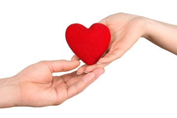 Female and Male Hands Holding a Heart