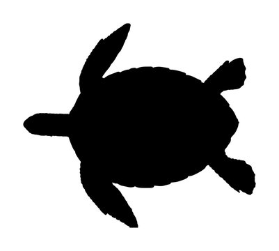 Sea turtle vector silhouette illustration isolated on white background. 