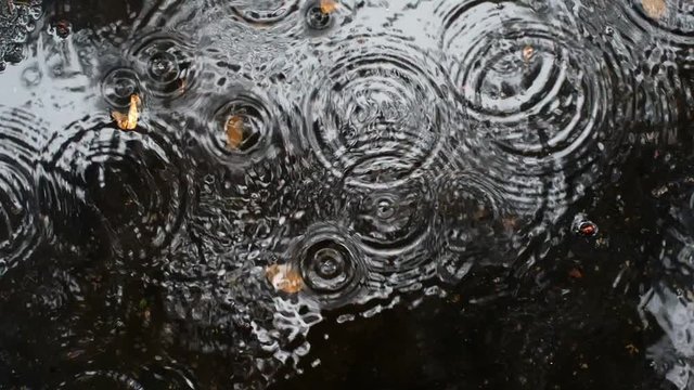Rain drops rippling in a puddle on a dark, rainy day