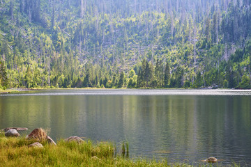 Plesne lake in Sumava national park (Bohemian Forest) in Czech republic