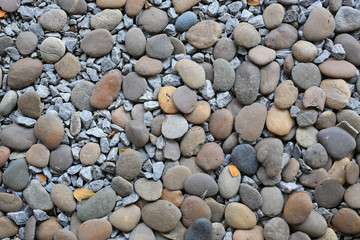Pebbles for background.
