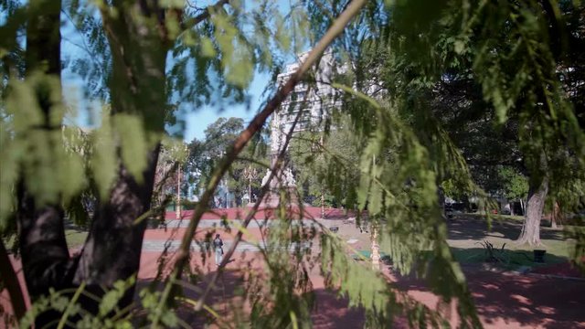 Dolly footage of a statue behind a tree at buenos ires