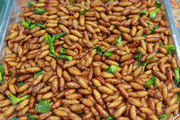Fried insects, Thailand famous street food.