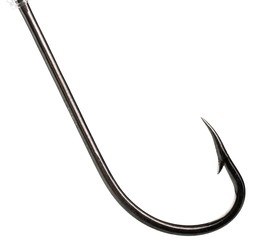 Fish Hook