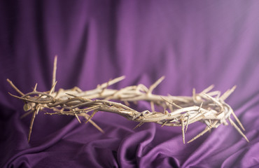 The Crown of Thorns that Jesus Wore