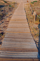Obraz premium wooden path through the dunes towards a summer beach at sunset