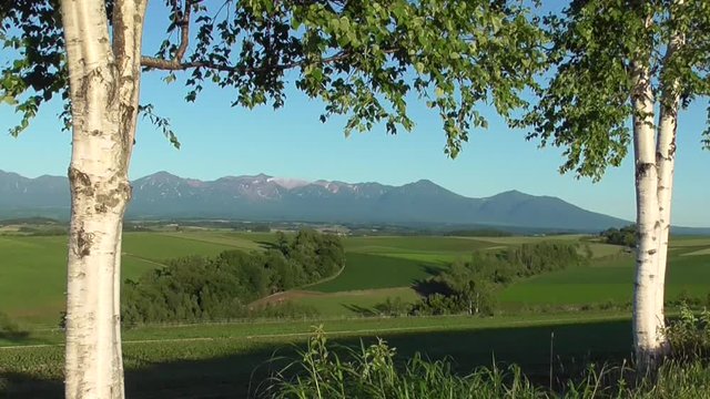 噴煙を上げる十勝岳と夕日に照らされた美瑛・富良野の丘