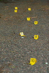 Daylight Crime Scene