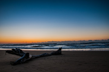 夕暮れの海岸線