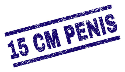 15 CM PENIS stamp seal watermark with distress style. Blue vector rubber print of 15 CM PENIS text with dust texture. Text title is placed between parallel lines.