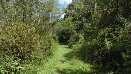 Fototapeta na wymiar caminho