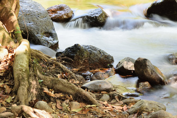 Waterfall in the forest