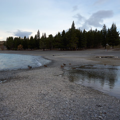 The lake and the birds