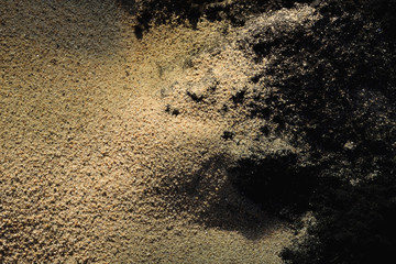 Sandy soil and sunlight