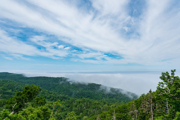 Obraz premium 知床半島の雲海