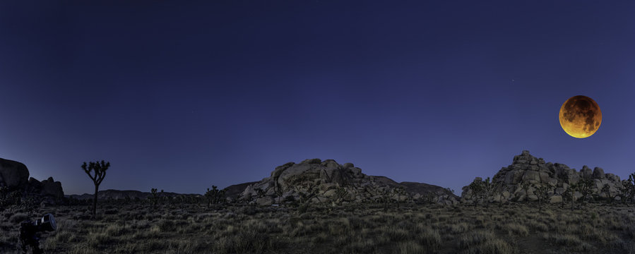 JOSHUA TREE NP BOOD MOON