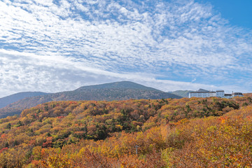 Scenic high mountain road view at Zao mountain area, Tohoku, Japan.