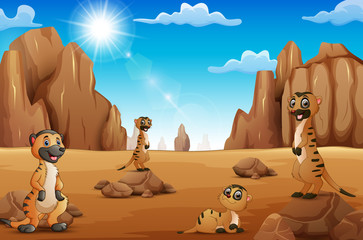 Cartoon Meerkats standing in the desert