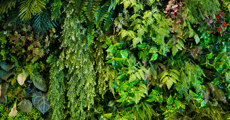 Green leaves natural background wallpaper, leaf texture,