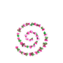 Flower curl made of pink flowers and thorns of a Thistle. Copy space. Concept-everything has two sides. Psychology of relationships.