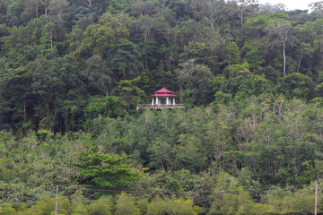 Building in the forest on the mountain.