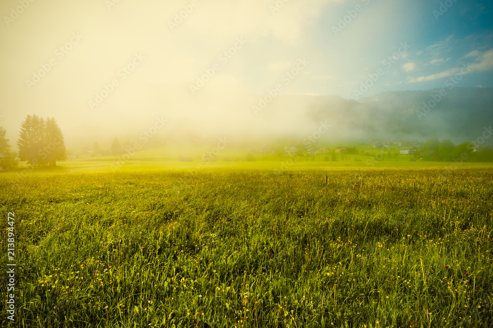 Wall mural mist over austrian landscape