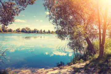 Beautiful nature. The shore of the lake on a bright sunny day