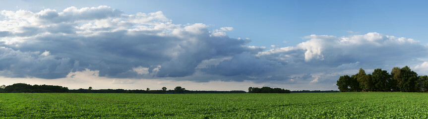 panorama z polem i chmurami w tle