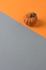 A small pumpkin on a gray-orange background