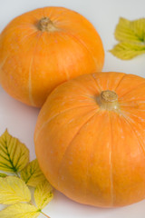 Pumpkin and autumn leaves on a white background