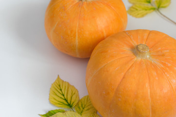 Pumpkin and autumn leaves on a white background