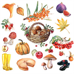 autumn watercolor set