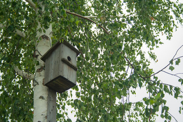 Old hand-made feeding trough