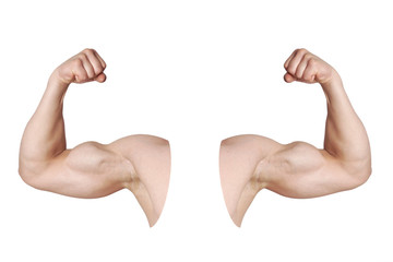 Fototapeta cut out male arms with flexed biceps muscles isolated on white obraz