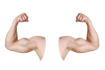 Foto op Canvas cut out male arms with flexed biceps muscles isolated on white © Axel Bueckert
