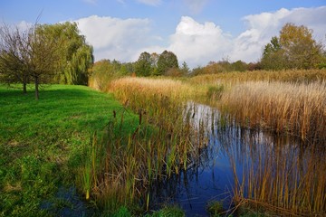 Beautiful autumn landscape - small pond in the autumn park - Autumn pond   in a cloudy, foggy day -  autumn in park
