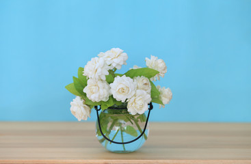 Beautiful jasmine flower in the pot on green blur background.Copy space background.