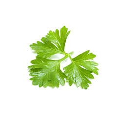 Зеленый лист петрушки изолированный на белом фоне