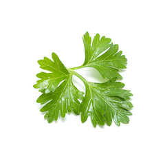 Зеленый лист петрушки изолированный на белом фоне